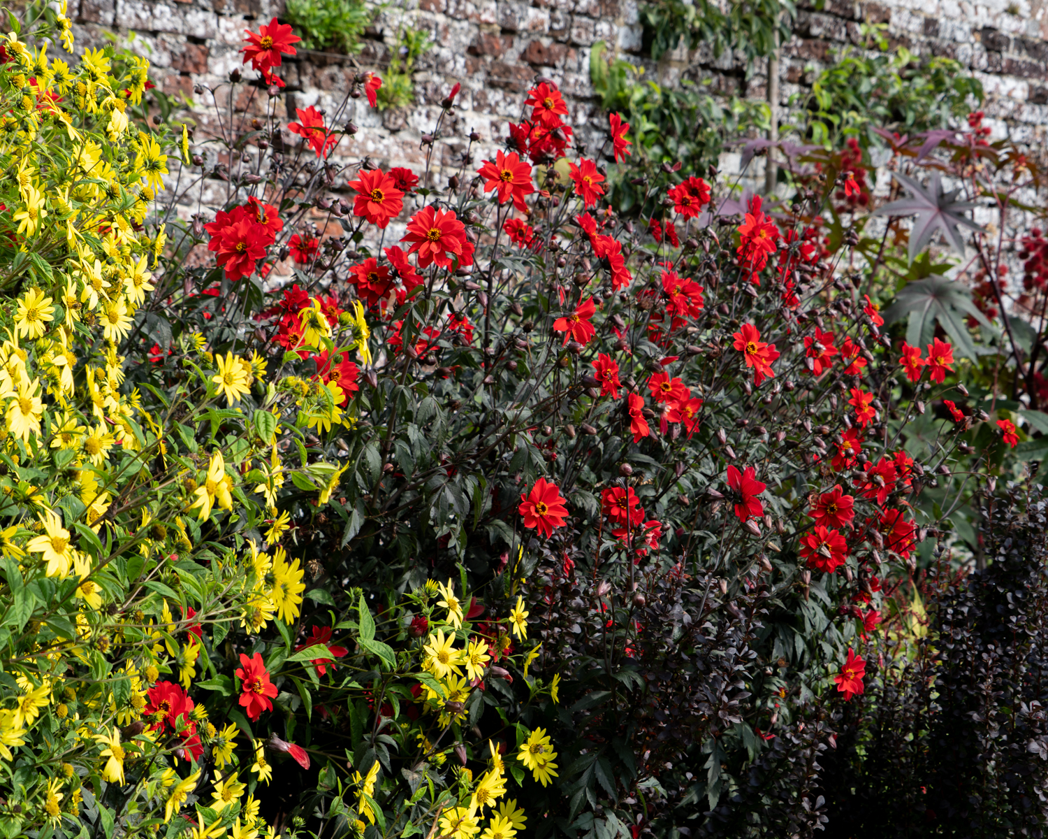 Photography by Chris Allington